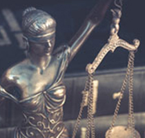 Probate Court Litigation